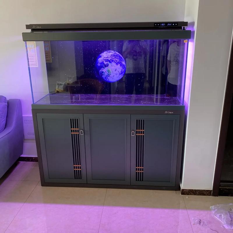 定州市南城區(qū)尹家莊 專業(yè)水族箱批發(fā)，打造水族愛好者首選地
